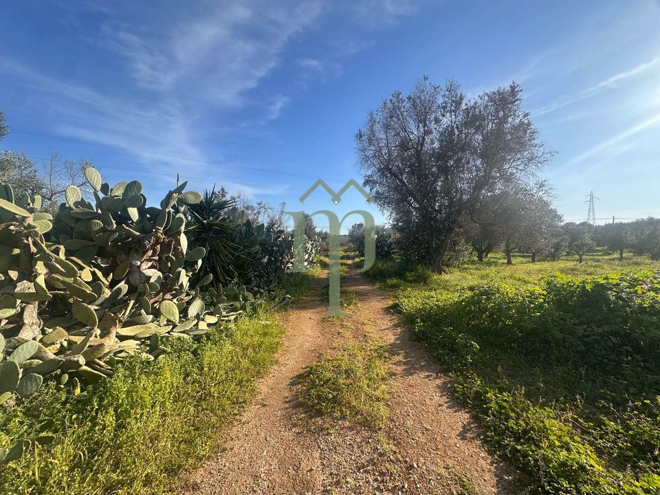 Landejendom i Carovigno, Brindisi - foto 4